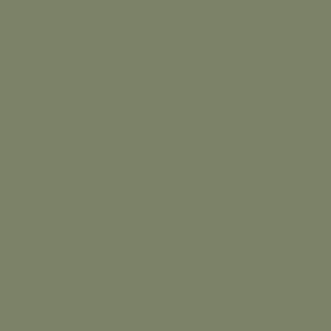 CARRELLO VECTOR - Бебешка количка 2в1 , Field Green*