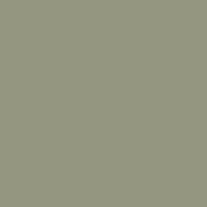 CARRELLO - Omega , Tropical Green* ,2025 Collection - Бебешка количка 2в1