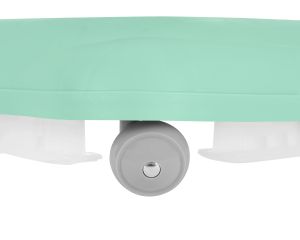 Проходилка Misty , Mint